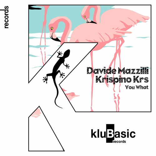 Davide Mazzilli, Krispino Krs - You What (Teaser)
