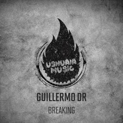 Guillermo DR - Disco Ball (Original Mix) [PREVIEW]