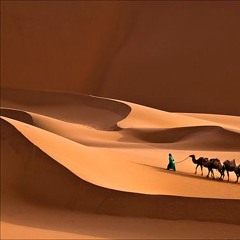 Shadow of the Silk Road