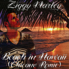 Ziggy Marley - Beach in Hawaii (Chicano Remix)