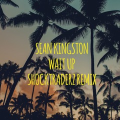 Sean Kingston - Wait Up (Shocktraderz Remix)