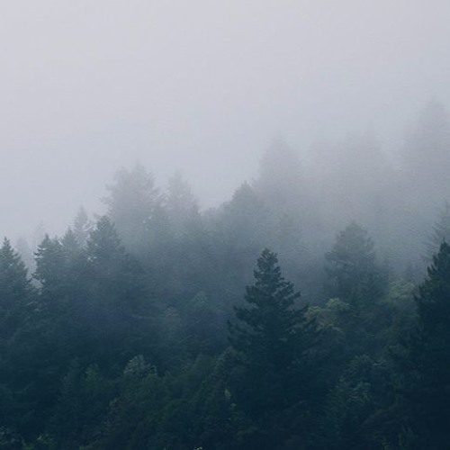 MOIC - Fog