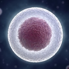 💖Ode.t💖 Caramel $weat X J-Hill$ Remastered