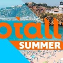 Totally Summer Mixtape 2017 Mixed By Puinhoop Kollektiv