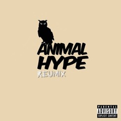 REUMIX - Animal Hype (originally 'One Take' by Ghetts x Rude Kid)