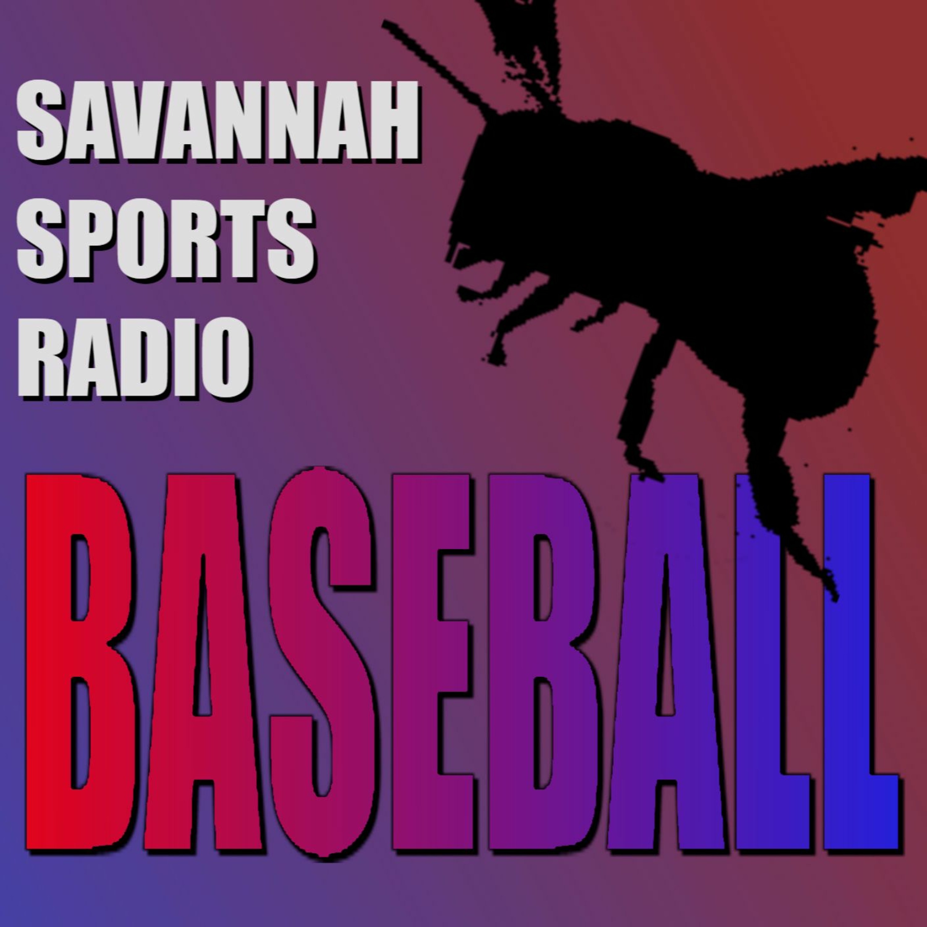Savannah Sports Radio episode artwork