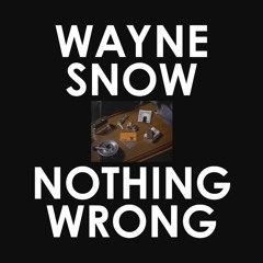 :: Wayne Snow - Nothing Wrong Remixes :: (Snippets)