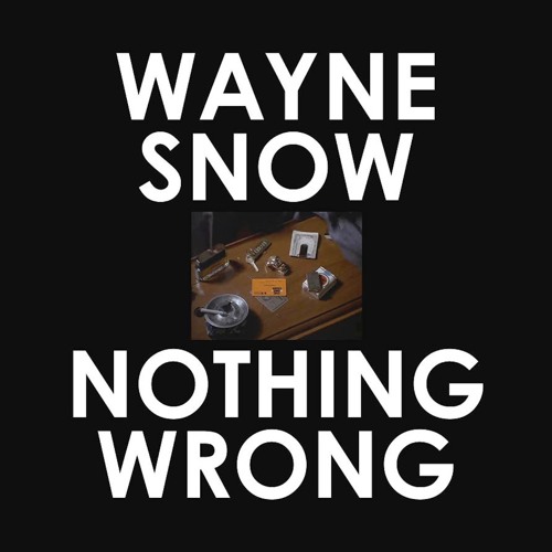 :: Wayne Snow - Nothing Wrong Remixes :: (Snippets)