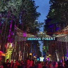 Electric Forest 2017