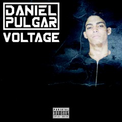 Daniel Pulgar - Voltage (Original Mix)