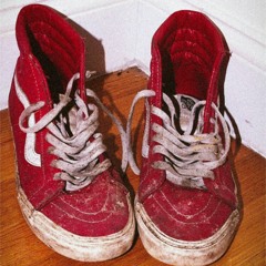 Dirty Vans - Boss Karrot