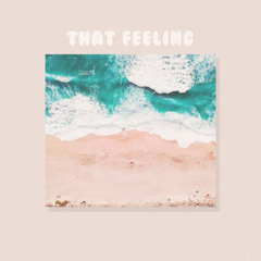 That Feeling Ft. Mimi Knowles