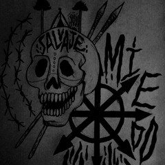 miedo & niñx debacle - no te atraparan