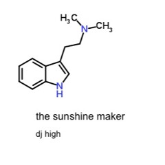 The Sunshine Maker