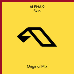 Skin - Extended Mix