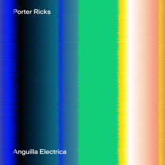 Porter Ricks - Port Of Tangency