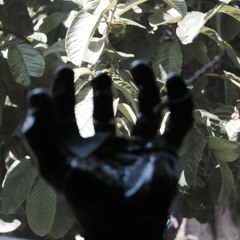 condannato(prod. by diligent.e)