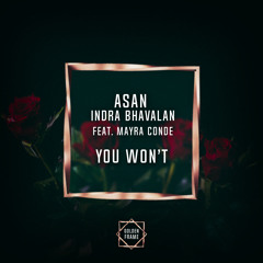 ASAN X Indra Bhavalan - You Won't (feat. Mayra Conde)