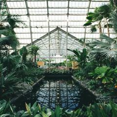 EclipZe - egyptian pools (prod. jinsang) + video