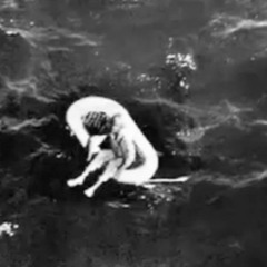 Bluebelle: The Last Voyage