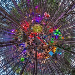 Electric Forest 2017