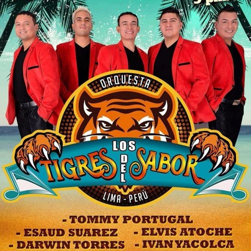 tigres de la cumbia