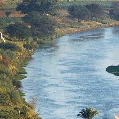 من تجليات الشيخ عبد الباسط ( وَأَصْبَحَ فُؤَادُ أُمِّ مُوسَىٰ فَارِغًا ۖ) سورة القصص