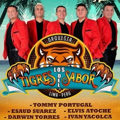 Los tigres del sabor - Vivo por tu amor