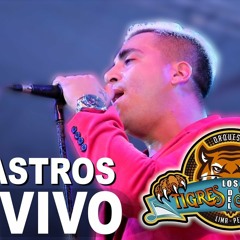 Los tigres del sabor - Mix astros de América