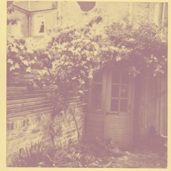 wallsleeper - garden moss