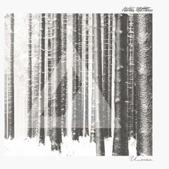 Petty Crimes - Nathan Matthews