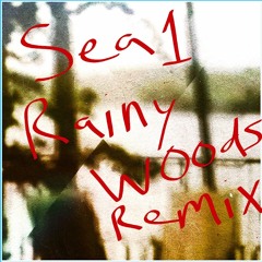 Sea 1 (Rainy Woods Remix)