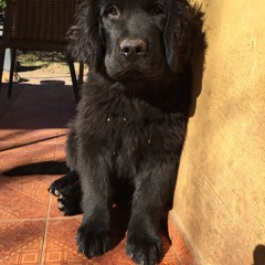 magic island Tenerife Beat