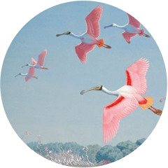 Natureza(Rare Cuts Edit)