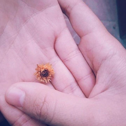 Stream Dung Diệp Listen to guzheng playlist online for free on SoundCloud