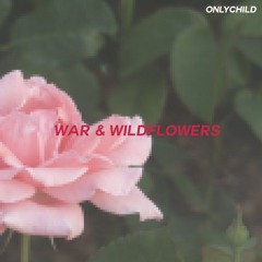 war & wildflowers