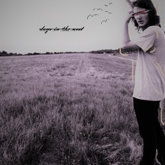 Never Stop At Red Lights