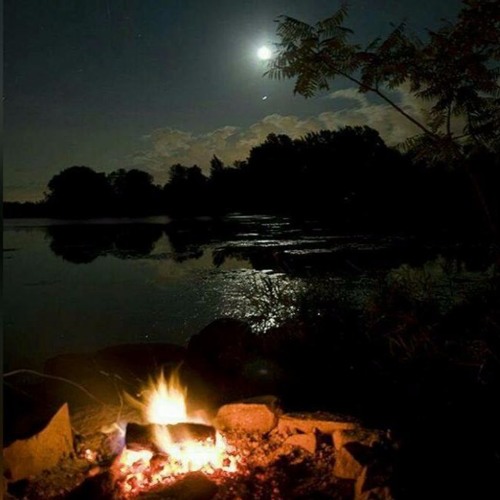 سورة فُصِّلت | ونجّيْنَا الذِينَ ءَامنُوا وكَانُوا يتَّقُون | لـ محمود لاشين <3