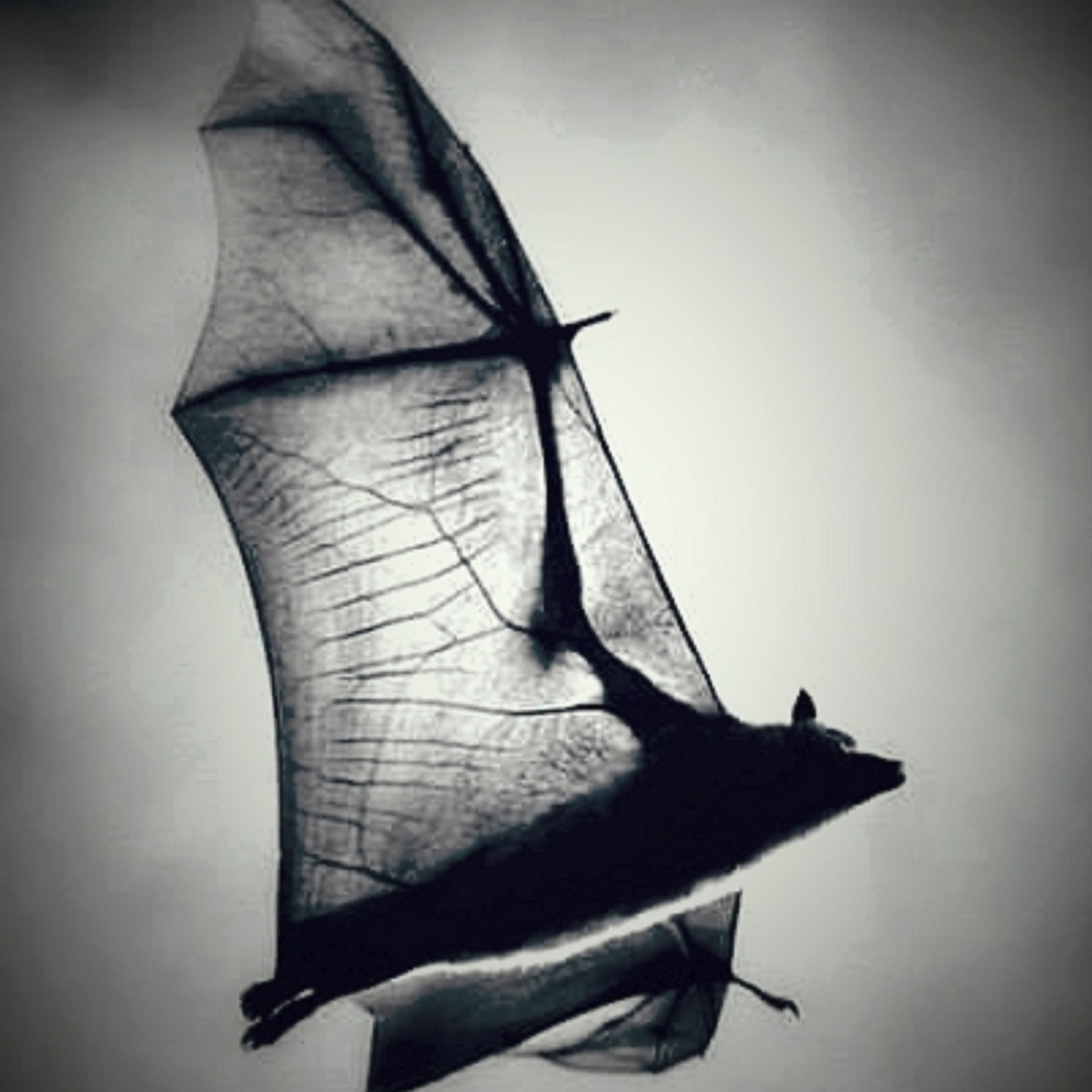 Frayed episode artwork