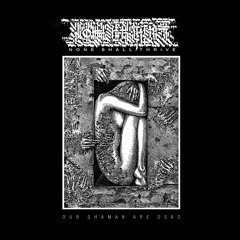 Desiccated And Torn (A=432Hz Acoustic)