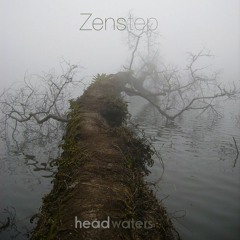 Zenstep ~ Headwater