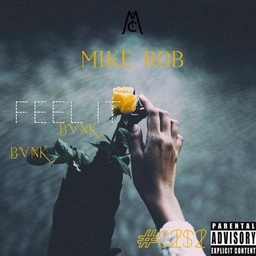Mike Rob - Feel It (Feat. BVNK)
