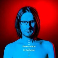 Steven Wilson : Pariah - Song Of I - Permanating (2017)