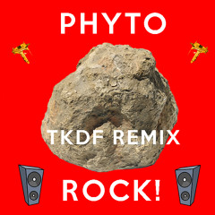Phyto - Rock (TKDF Remix) [Preview]