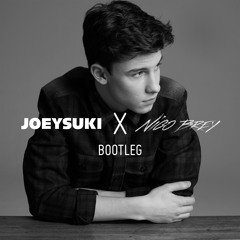 Shawn Mendes - Crazy (Nico Brey & JoeySuki Bootleg)