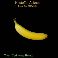 EVERY DAY OF MY LIFE (THOM CADHULERA REMIX PRE MASTER)