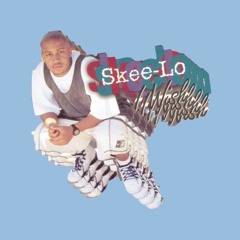 i wish i was a little bit beastly [vulfpeck vs skee lo]