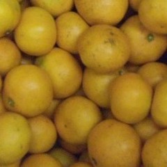 01 春一番(ゆずVer.) 6/27アコギな夜