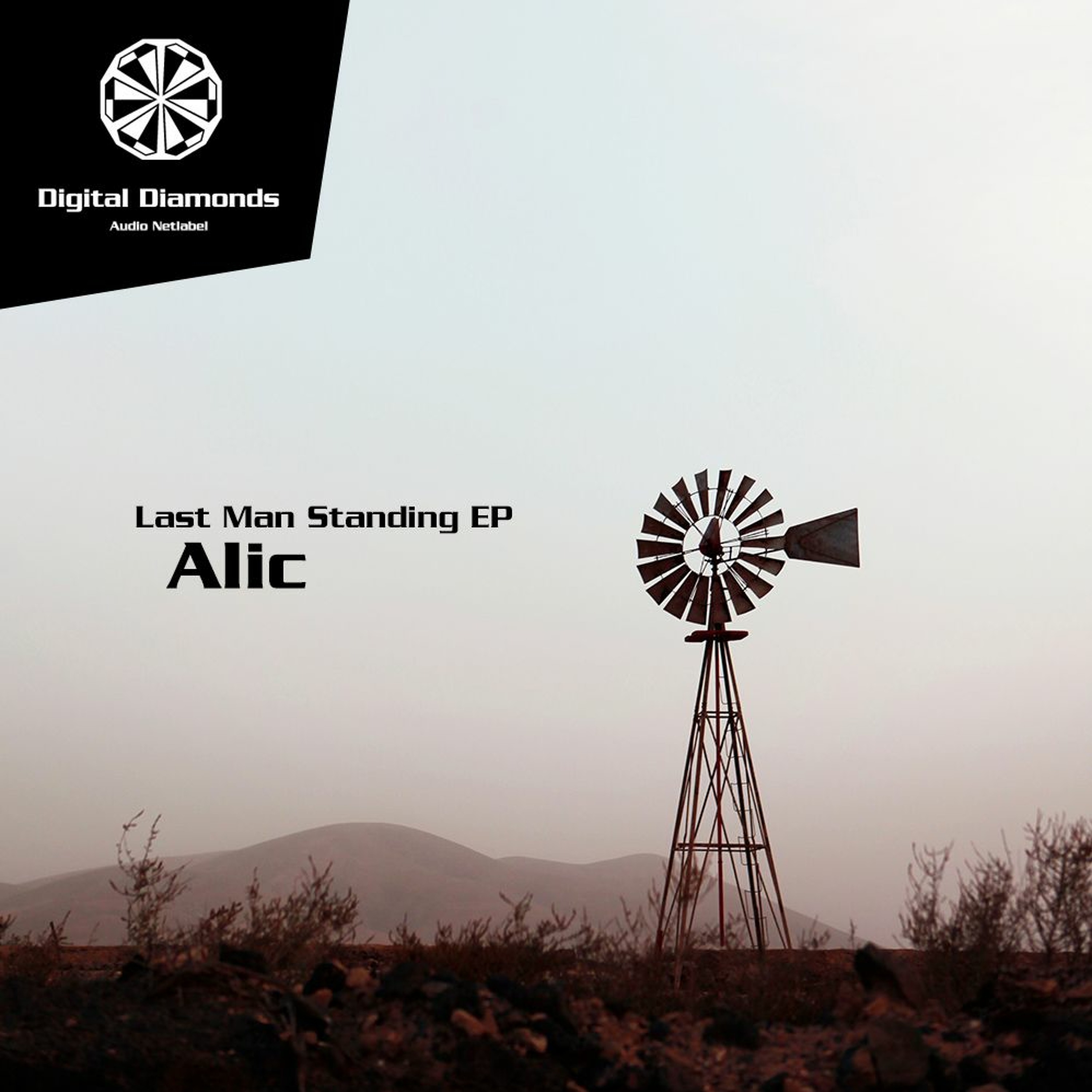 Alic - The Acid Flow (Triptacular Edit) [DigitalDiamonds044] | WAV download episode artwork
