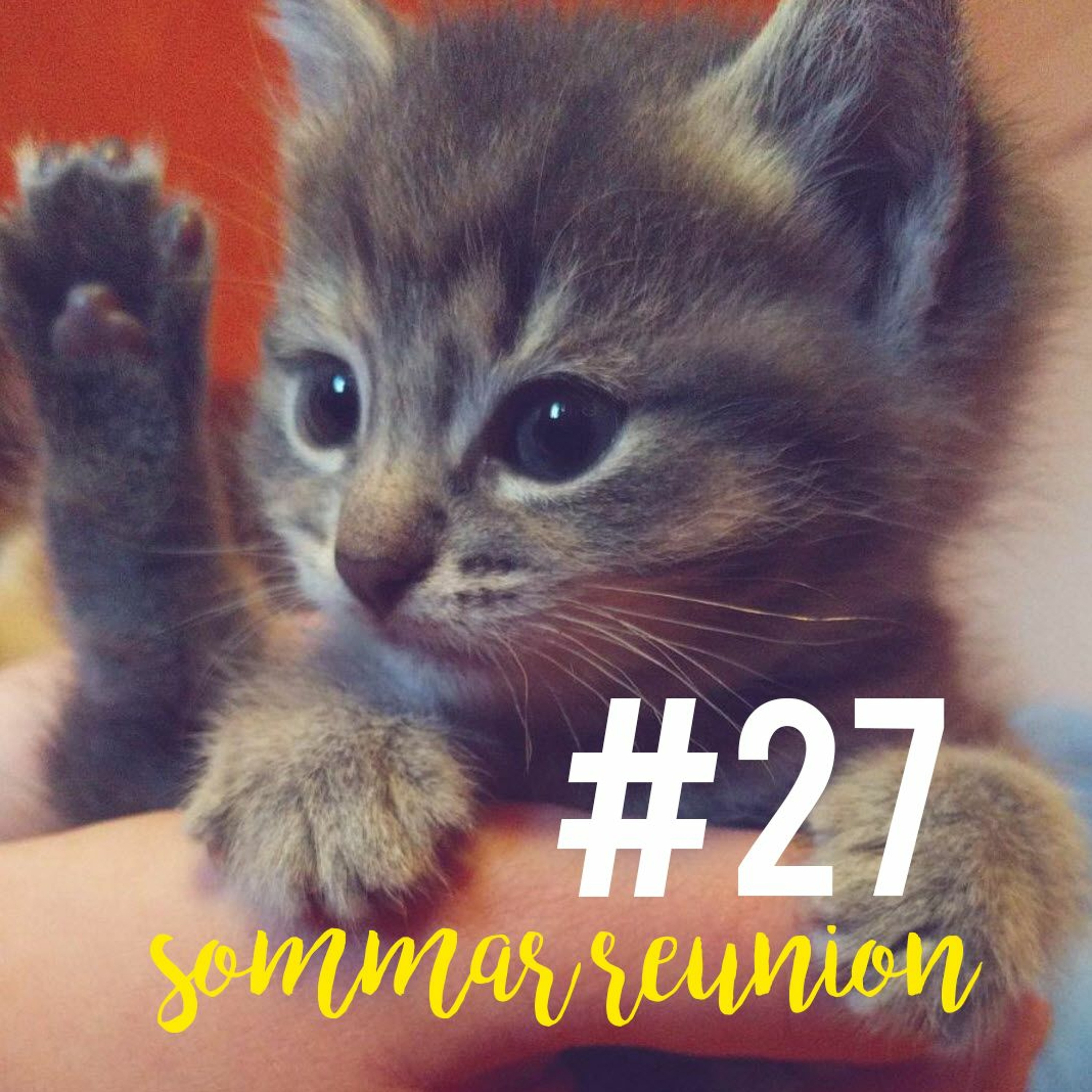 #27 Sommar Reunion episode artwork